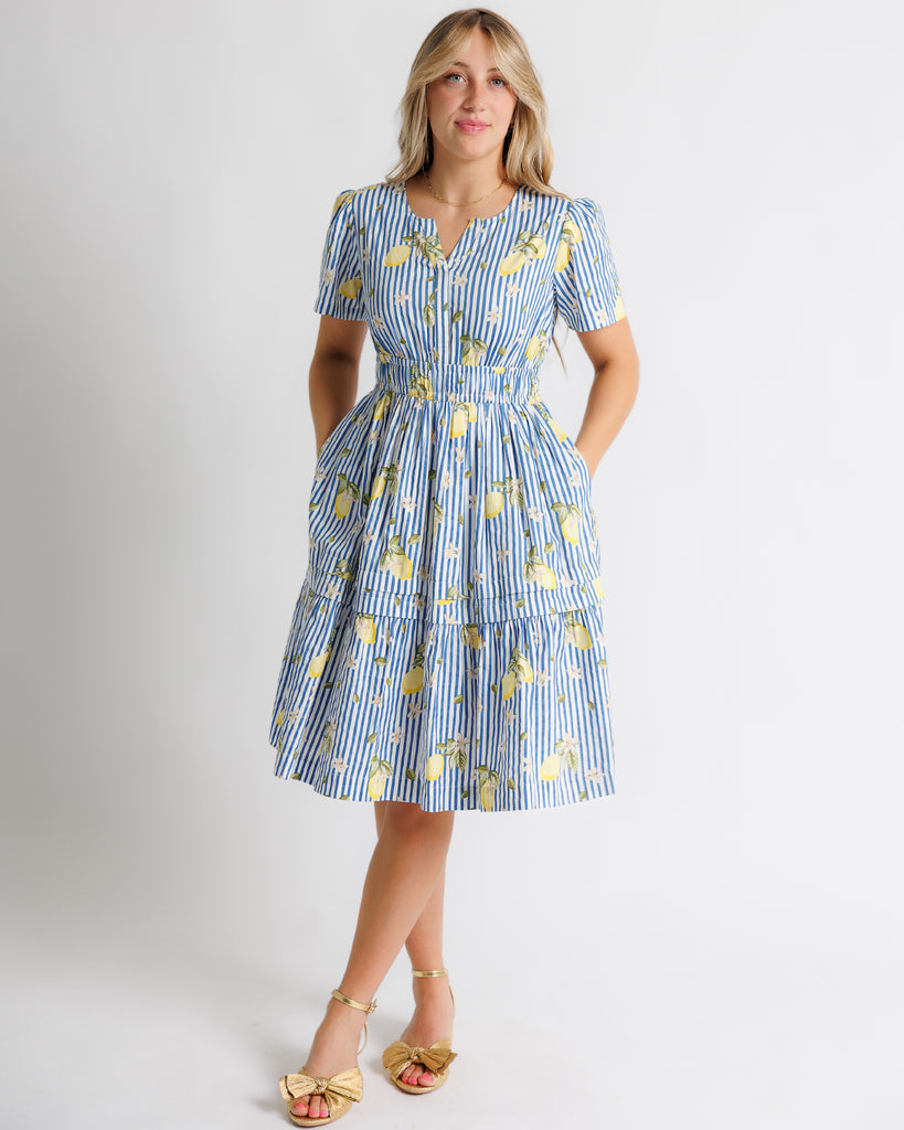 Model wearing a white and blue striped with lemon printed short sleeve v-neck knee length dress.
