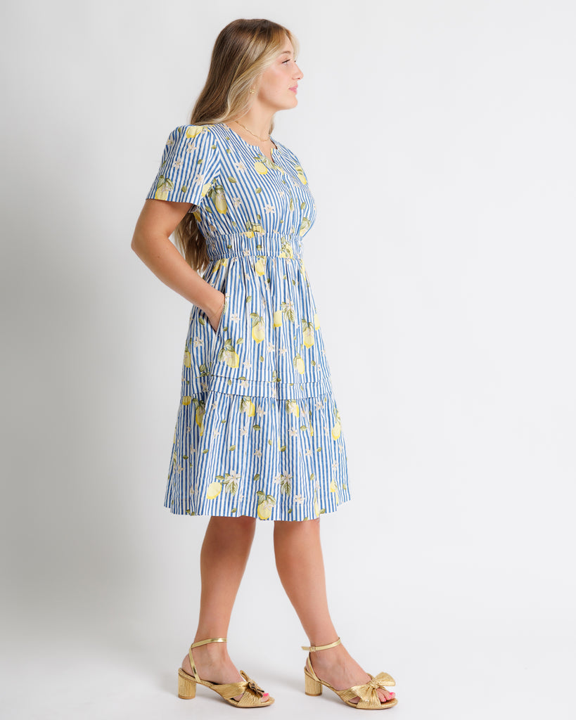 Model wearing a white and blue striped with lemon printed short sleeve v-neck knee length dress.