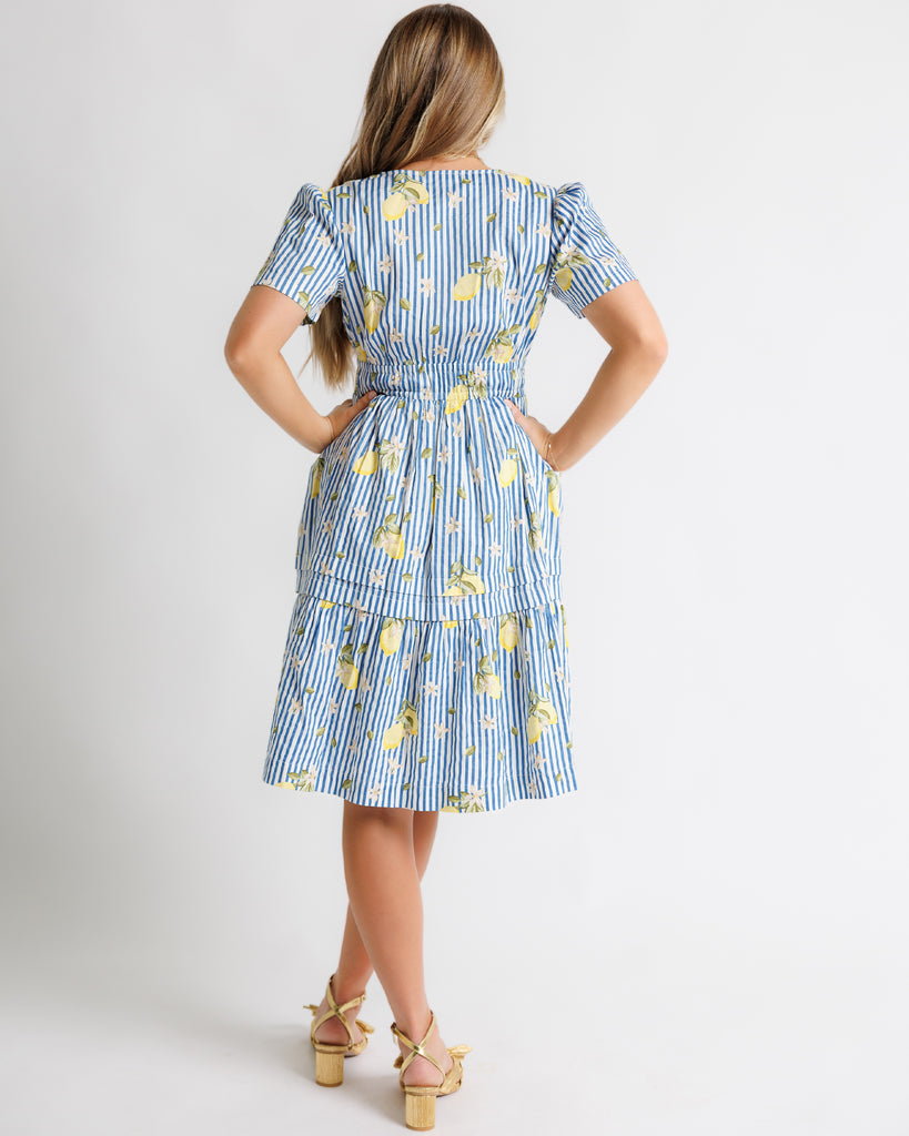 Model wearing a white and blue striped with lemon printed short sleeve v-neck knee length dress.