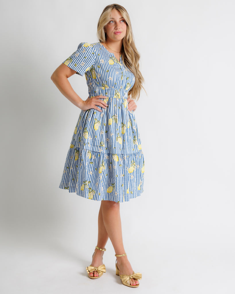 Model wearing a white and blue striped with lemon printed short sleeve v-neck knee length dress.