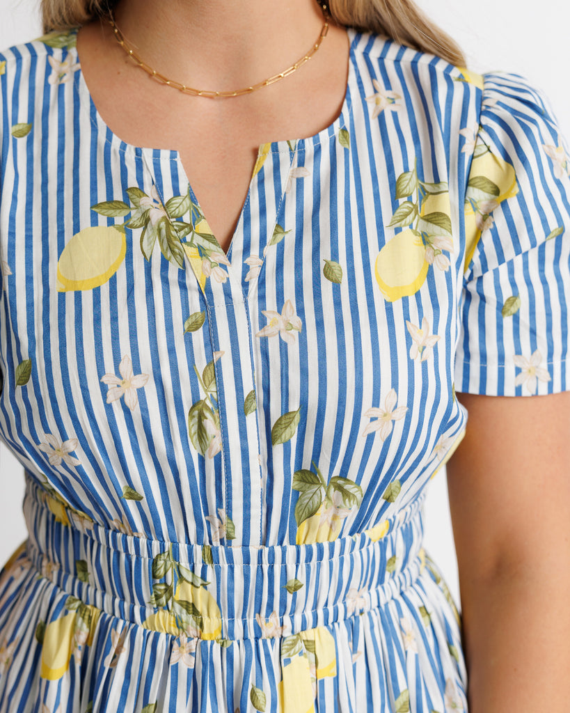 Model wearing a white and blue striped with lemon printed short sleeve v-neck knee length dress.