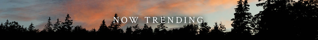 Silhouette of trees against a sunset sky with 'Now Trending' text.